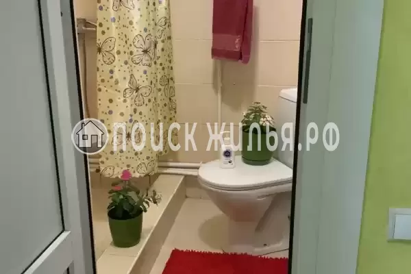 «Александрия» «Александрия»