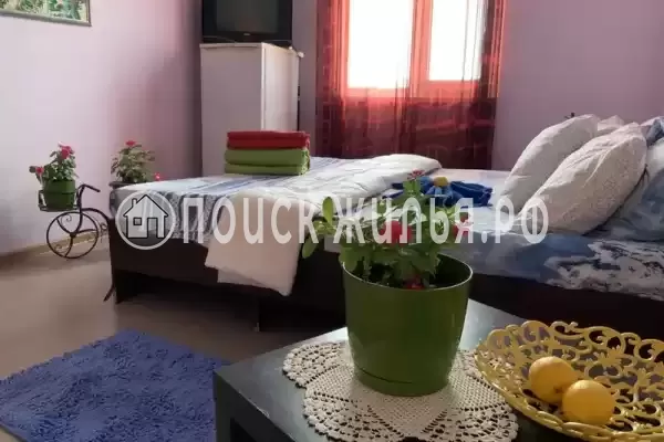 «Александрия» «Александрия»