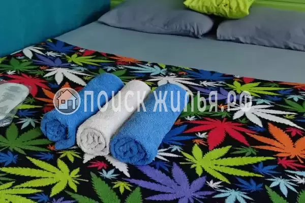 «Jungle Park» «Jungle Park»