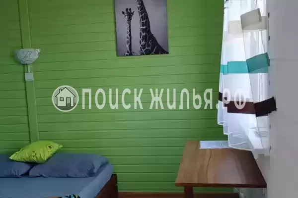 «Jungle Park» «Jungle Park»