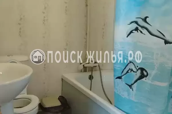 «Jungle Park» «Jungle Park»