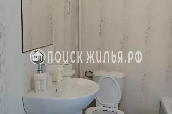 «Jungle Park» «Jungle Park»