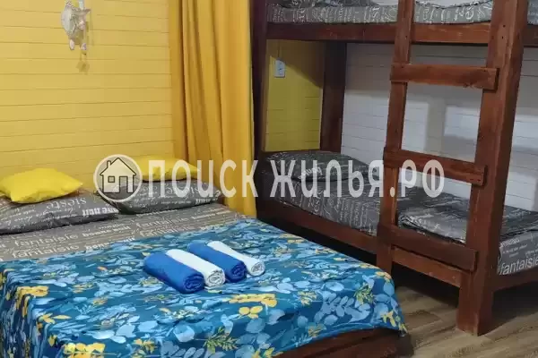 «Jungle Park» «Jungle Park»