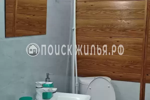 «Jungle Park» «Jungle Park»