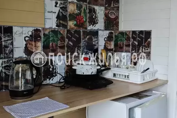 «Jungle Park» «Jungle Park»