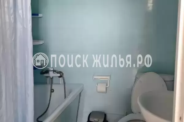 «Jungle Park» «Jungle Park»