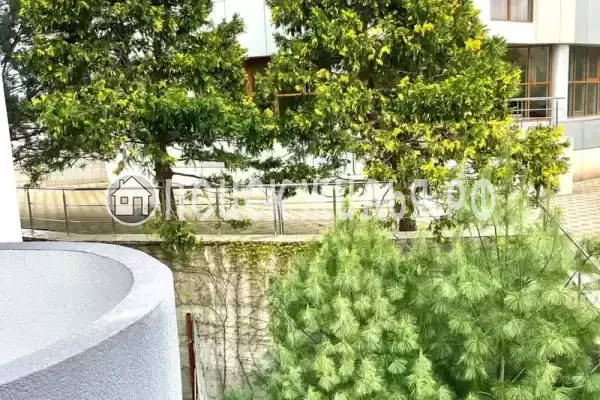 Апартаменты «Море» Апартаменты «Море»