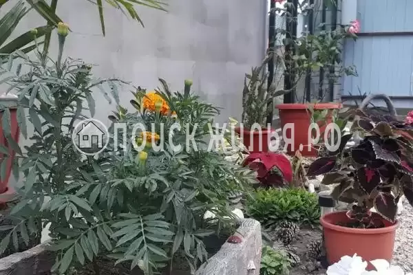 Частный сектор «Домик под ключ У Элени» Частный сектор «Домик под ключ У Элени»