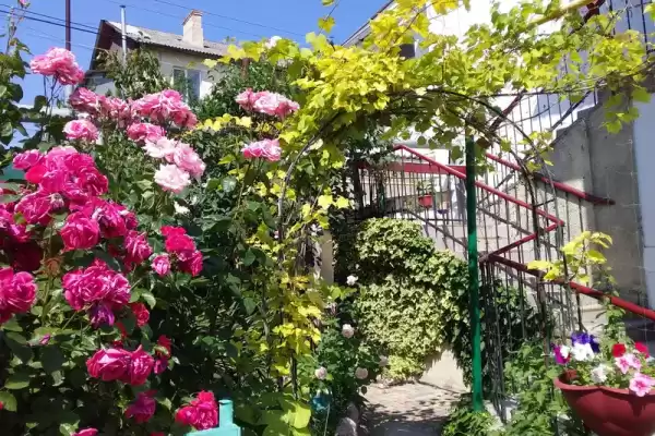 Частный сектор «Комната у моря» Частный сектор «Комната у моря»