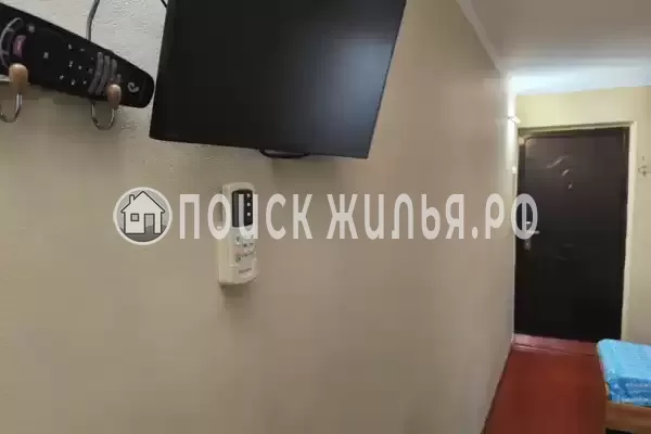 «У кедра» «У кедра»