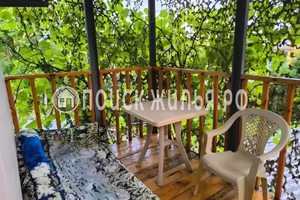 «У кедра» «У кедра»