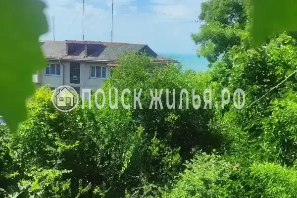 «У кедра» «У кедра»