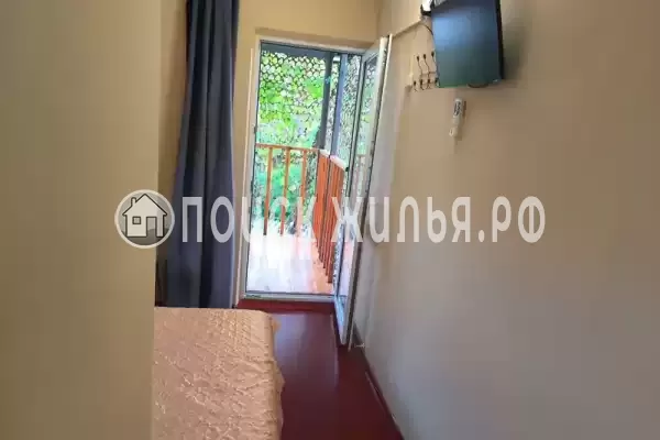 «У кедра» «У кедра»