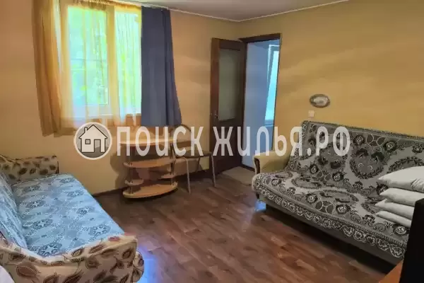 «У кедра» «У кедра»