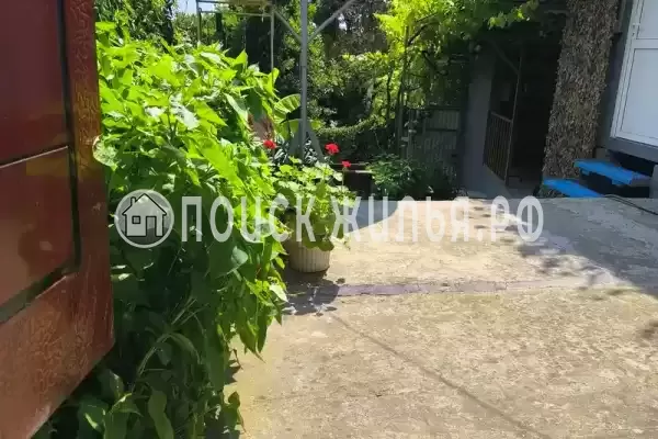 «У кедра» «У кедра»