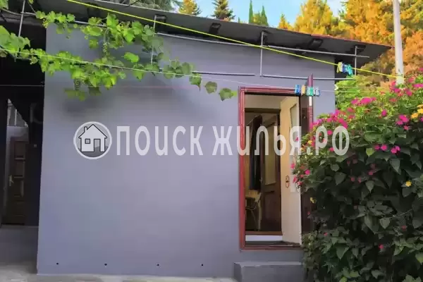 «У кедра» «У кедра»