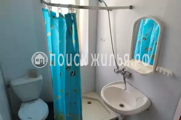 «У кедра» «У кедра»