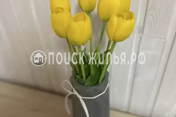 Гостевой дом «Эва»