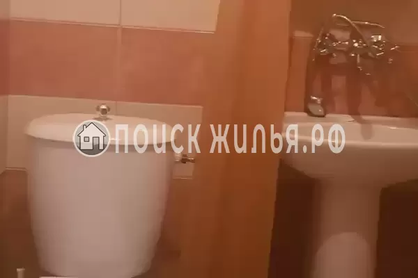 «Все свои» «Все свои»