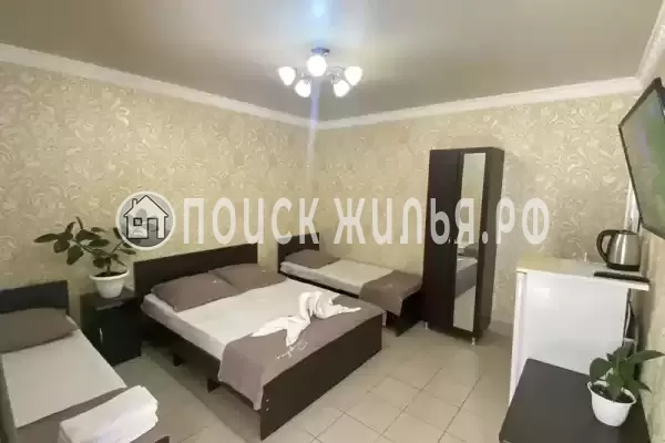 «Маргарита» «Маргарита»