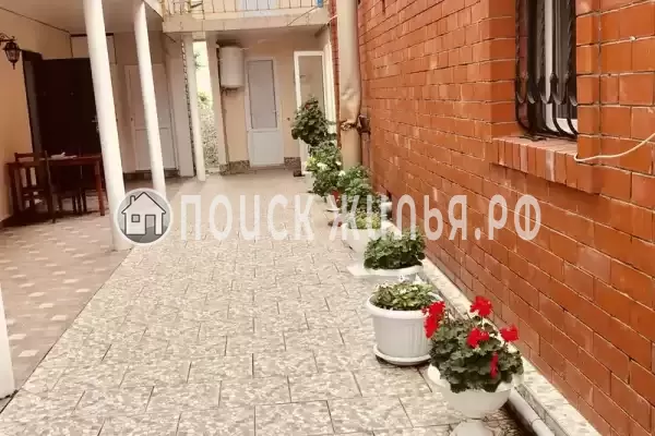 «Арина» «Арина»