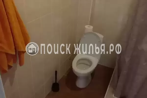 «Буревестник»