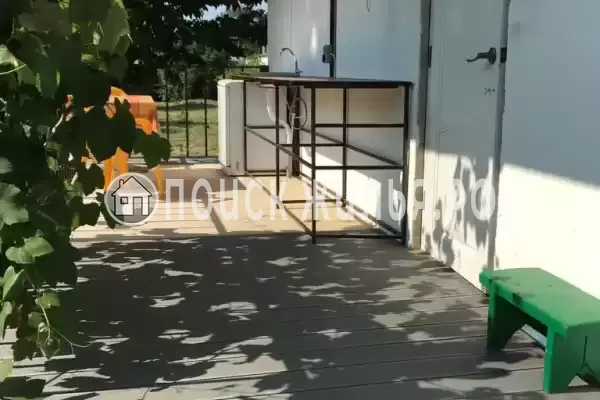 «Кот и овсянка» «Кот и овсянка»