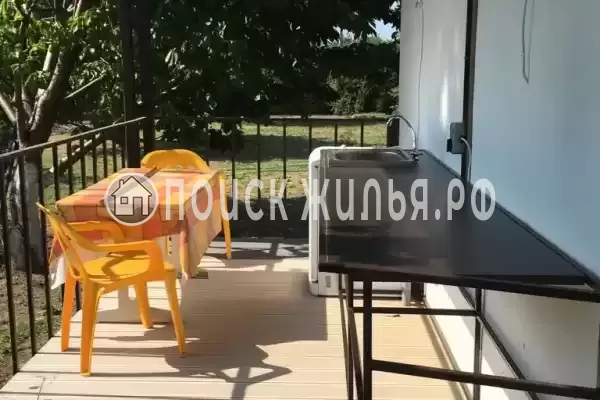 «Кот и овсянка» «Кот и овсянка»