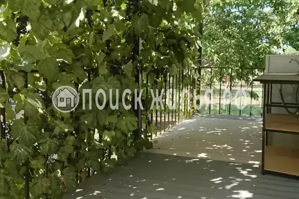 «Кот и овсянка» «Кот и овсянка»