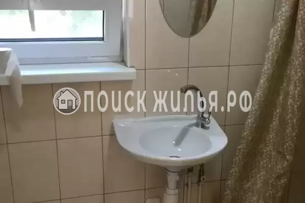 «Кот и овсянка» «Кот и овсянка»