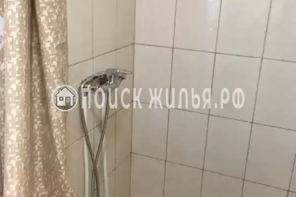 «Кот и овсянка» «Кот и овсянка»