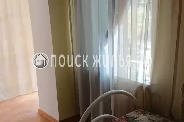 «Кот и овсянка» «Кот и овсянка»