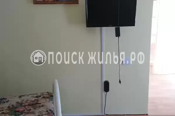 «Кот и овсянка» «Кот и овсянка»