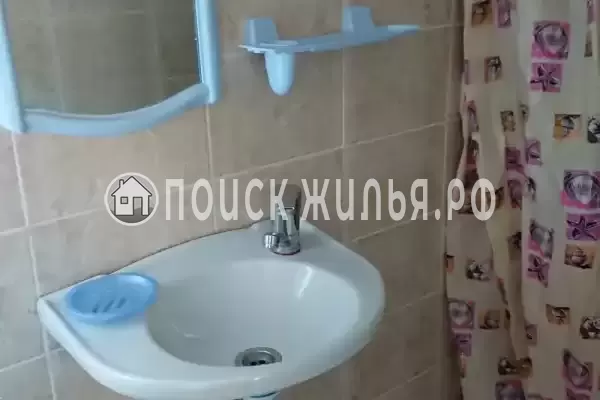 «Кот и овсянка» «Кот и овсянка»