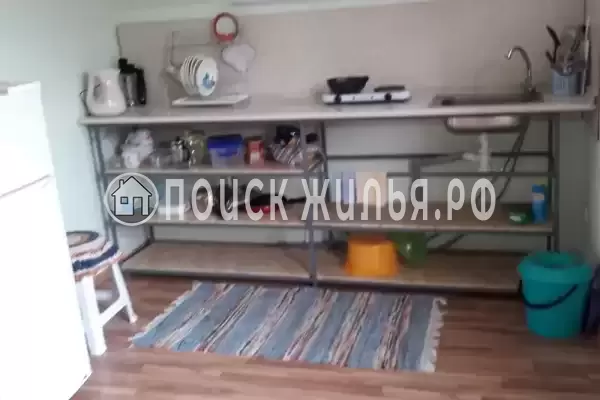 «Кот и овсянка» «Кот и овсянка»