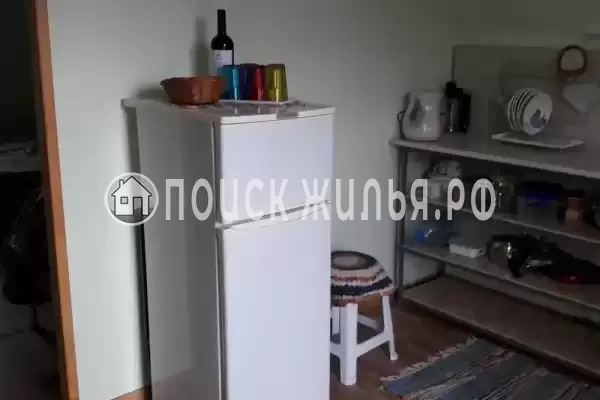 «Кот и овсянка» «Кот и овсянка»