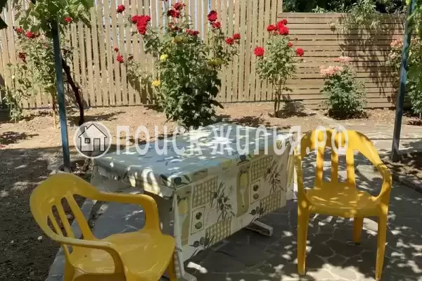 «Кот и овсянка» «Кот и овсянка»