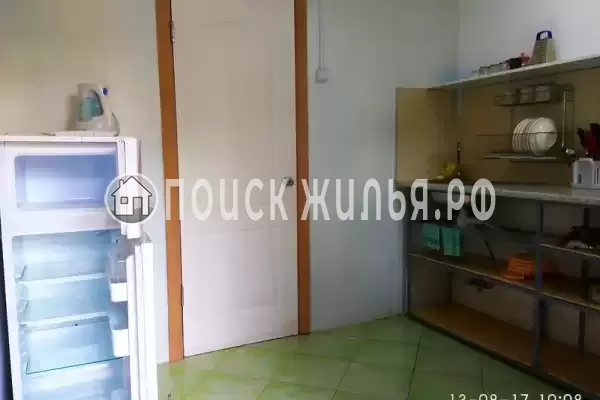 «Кот и овсянка» «Кот и овсянка»