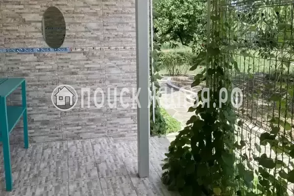 «Кот и овсянка» «Кот и овсянка»