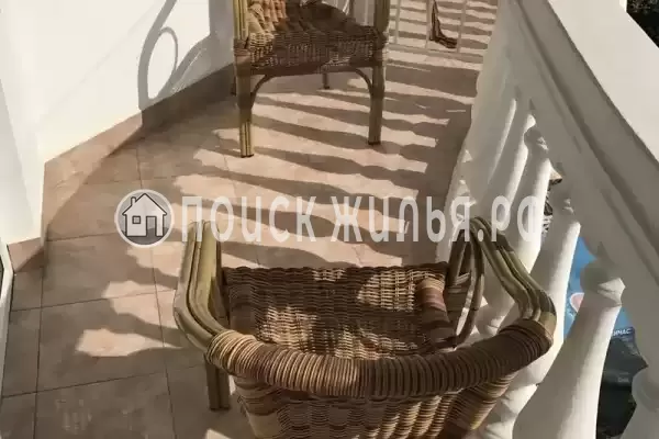 «Светлана» «Светлана»