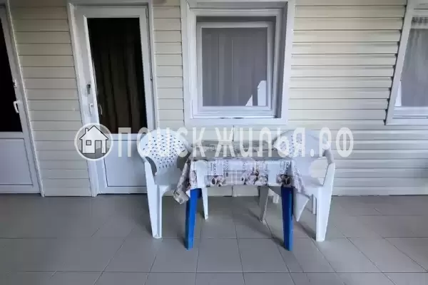 «Дельфин» «Дельфин»