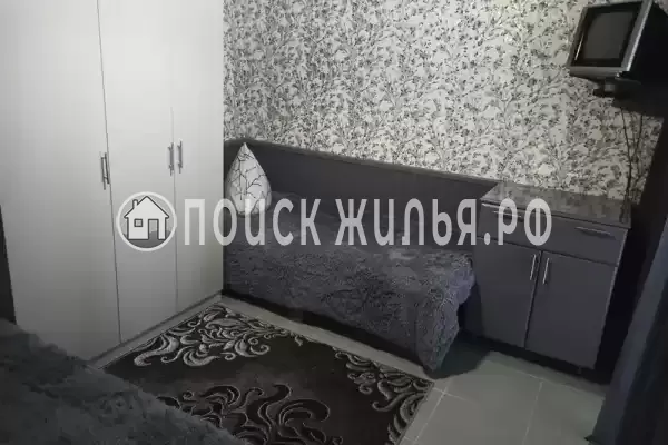 «Дельфин» «Дельфин»