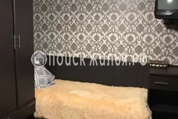 «Дельфин» «Дельфин»