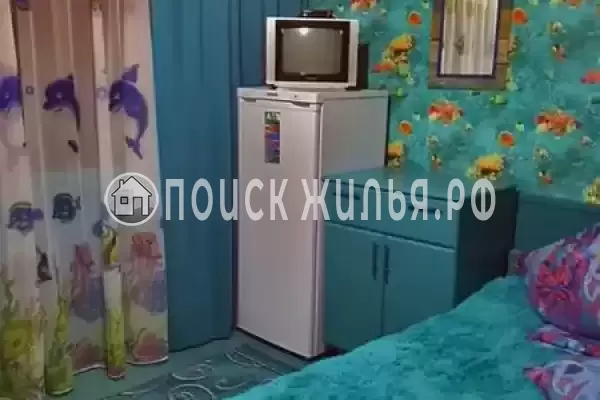 «Дельфин» «Дельфин»