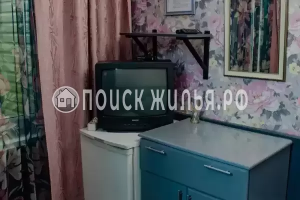 «Дельфин» «Дельфин»