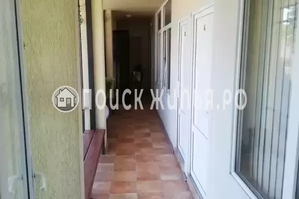 «Под пальмами»