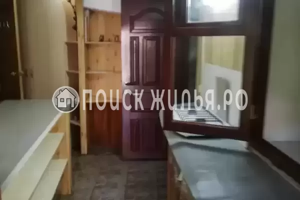 «Под пальмами»