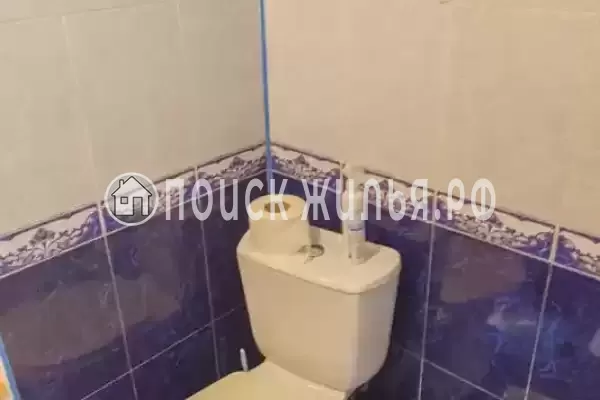 «Зеленый уголок»