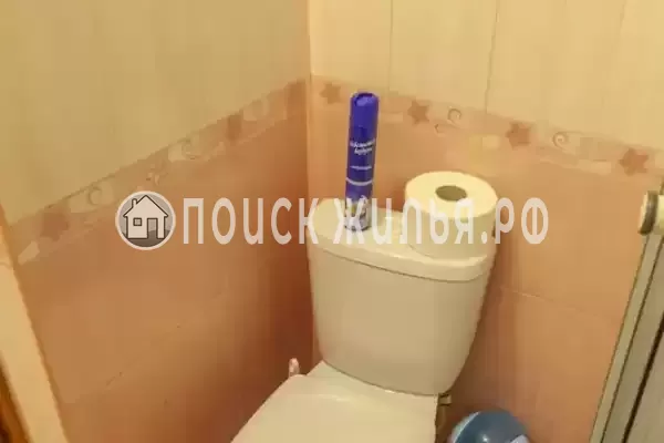 «Зеленый уголок»