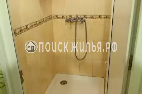 «Зеленый уголок»